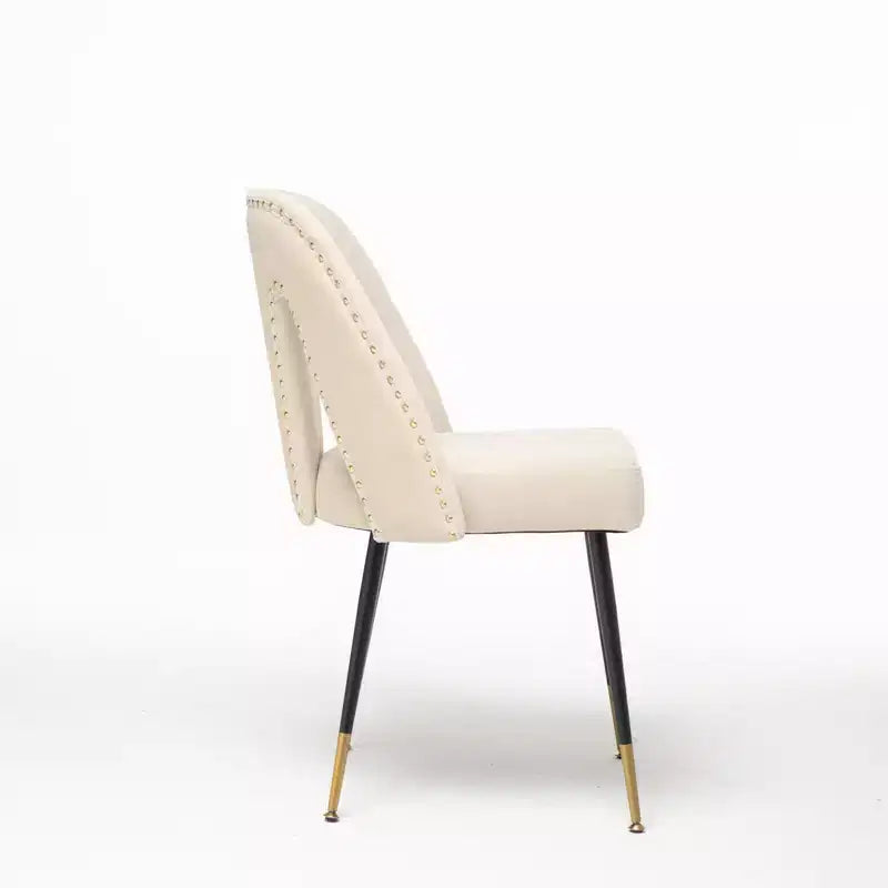 Set of 2 Modern Velvet Upholstered Dining Chair with Nailheads and Gold Tipped Black Metal Legs-ModernLuxe