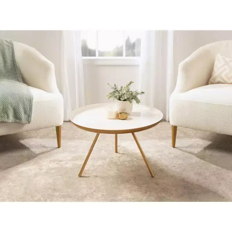 Kate and Laurel Laranya Round Metal Coffee Table
